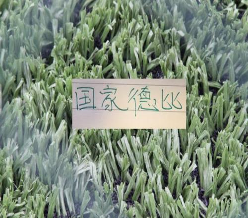 中華隊四將,聯手阻擊西,班牙,彩神网,彩票平台,在线购彩,彩票投注,高频彩票