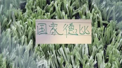 中華隊四將聯手阻擊西班牙 首度闖進正賽